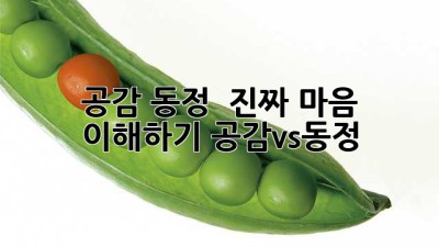 공감? 동정? 🤔 진짜 마음 이해하기 #공감vs동정